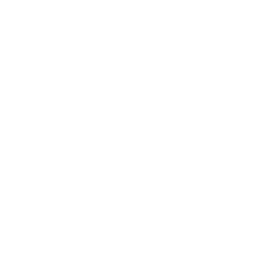 Athlete Type